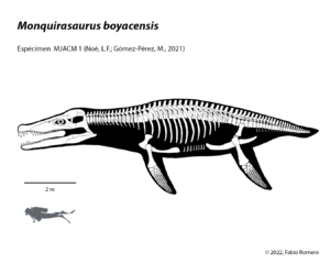 Monquirasaurus boyacensis Esqueleto