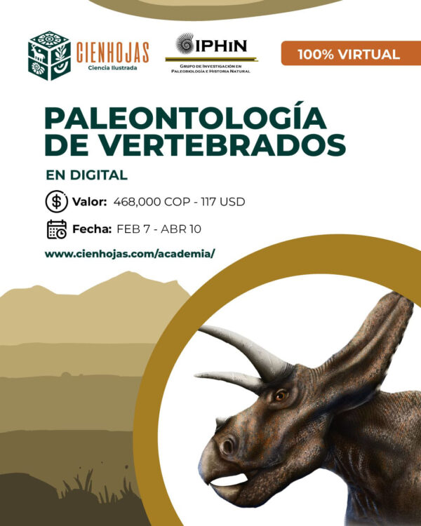 Ilustración Paleontologia Vertebrados