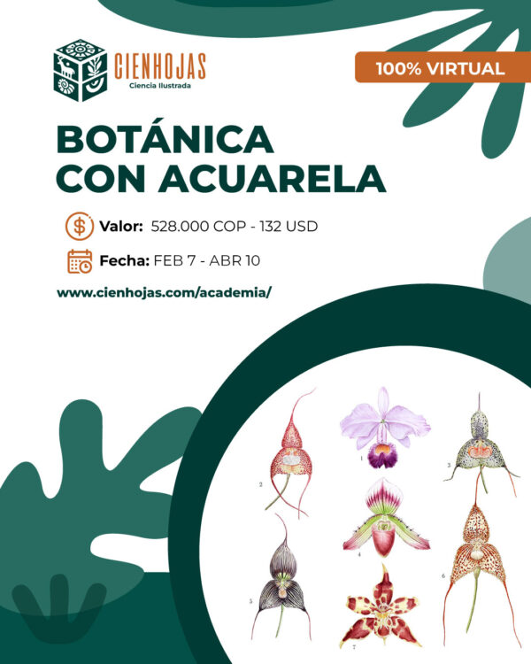 Ilustración Botánica con Acuarela