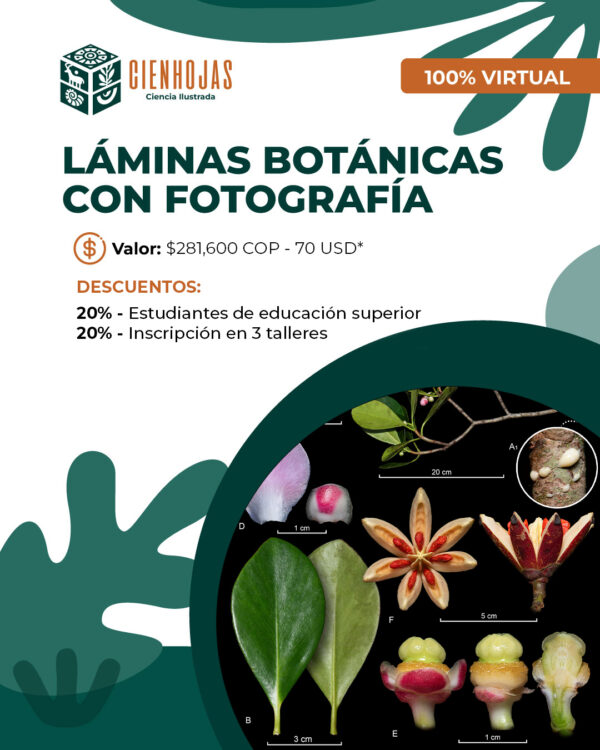Láminas Botánicas con Fotografía