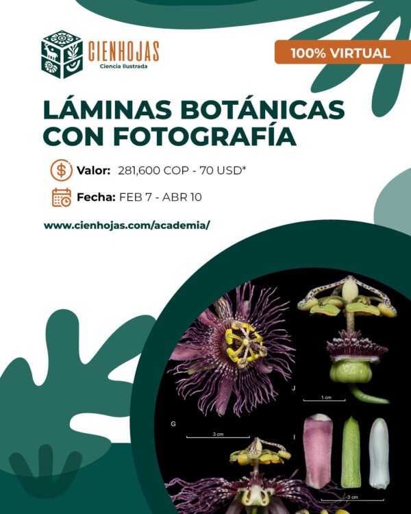 Láminas Botánicas con Fotografía