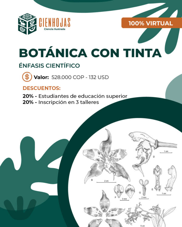 Ilustración Botánica con Tinta - Énfasis Científico