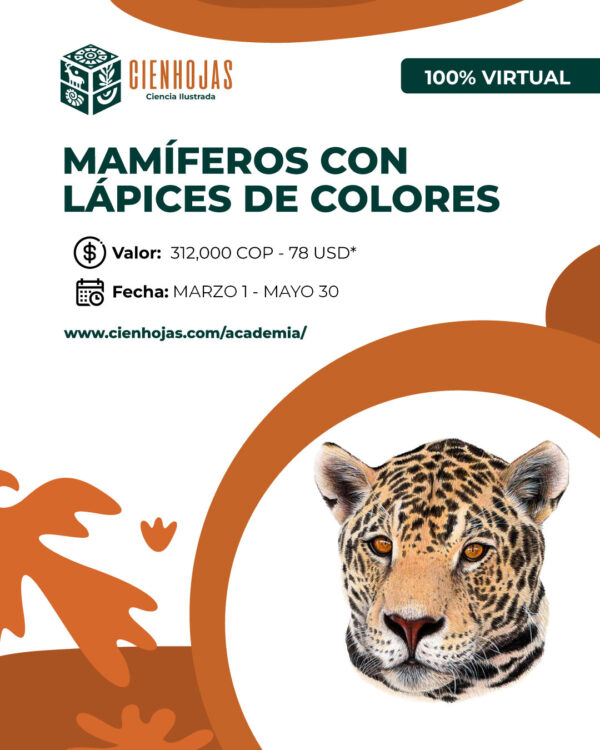 Ilustración de Mamíferos con Lápices de Colores