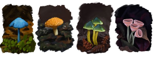 Fungi Thumbnails - Imagen 3