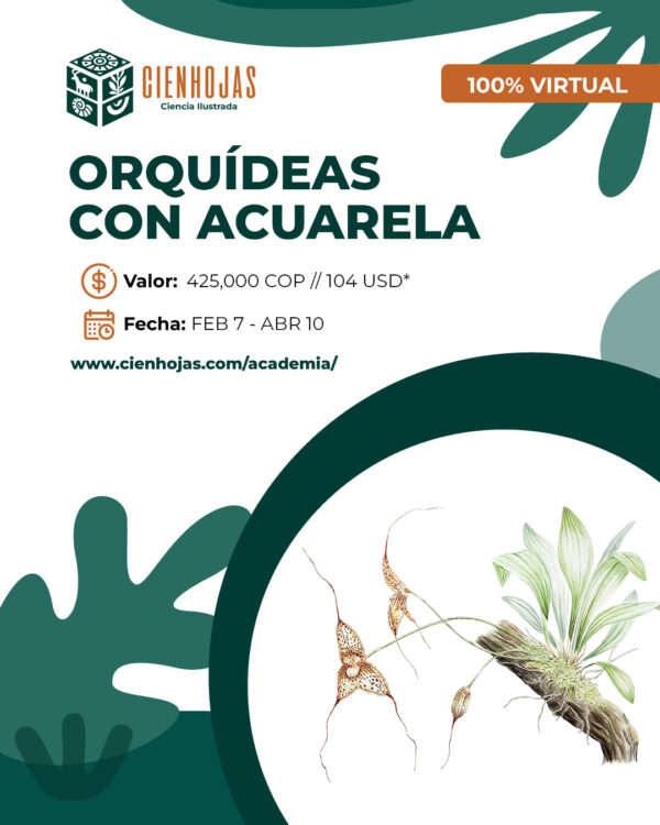 Orquídeas con Acuarela