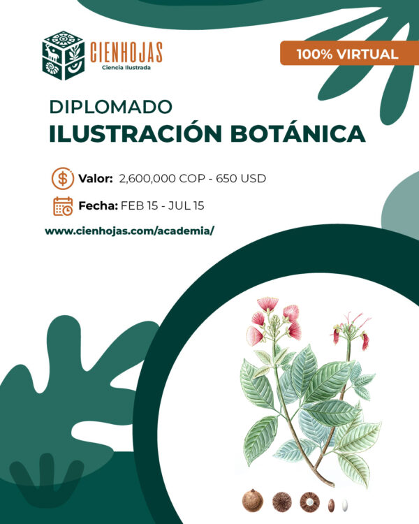 Diplomado en Ilustración Botánica