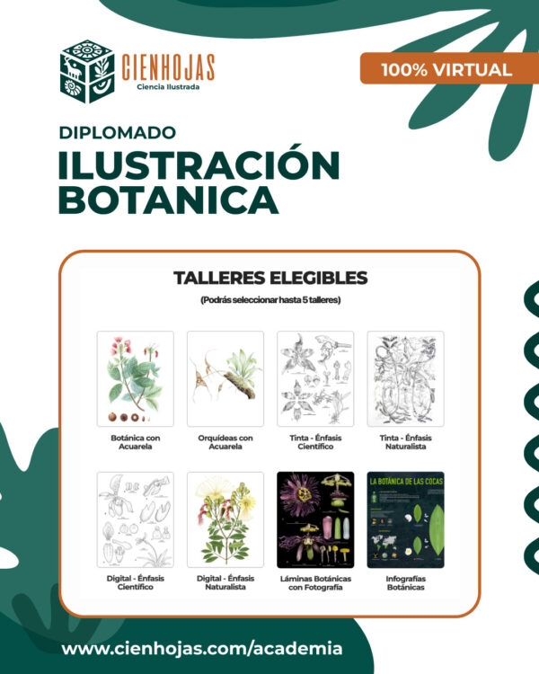 Diplomado en Ilustración Botánica - Imagen 2