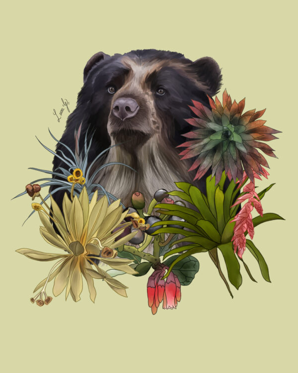 El oso andino y su flora - Reproducción - Imagen 3