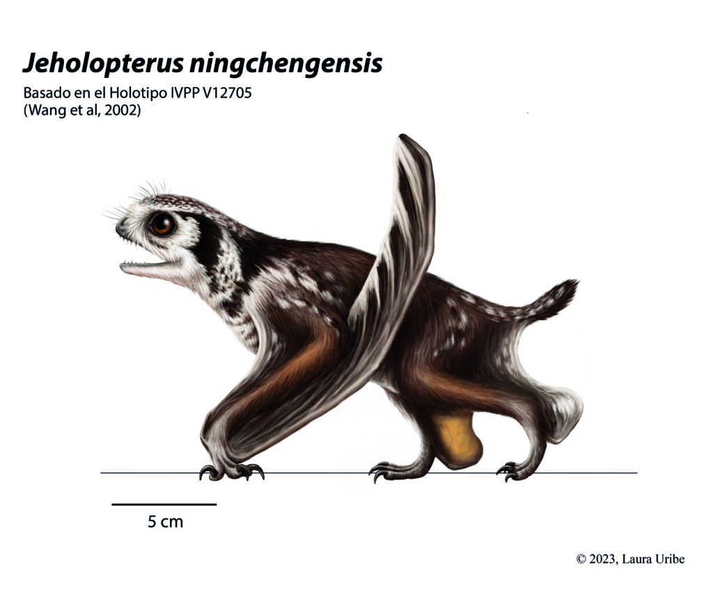 Jeholopterus ningchengensis tegumento