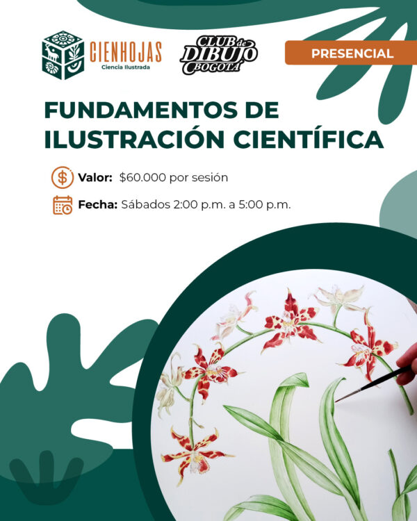 Fundamentos de Ilustración Científica - Presencial