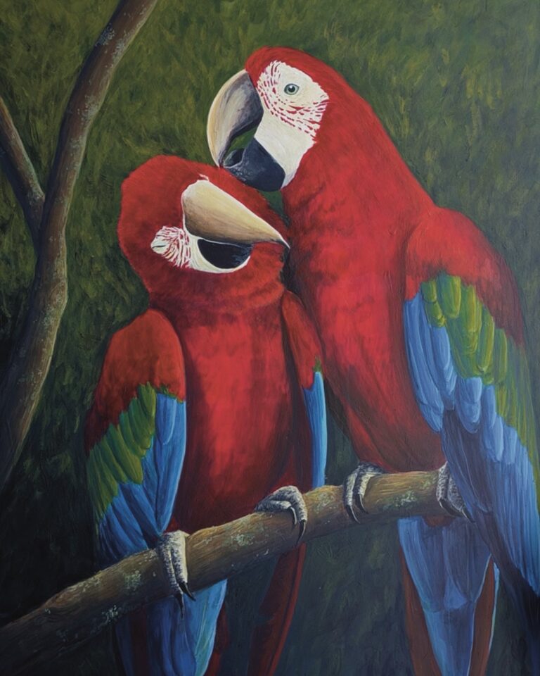 Melissa Ospina Guacamaya Roja