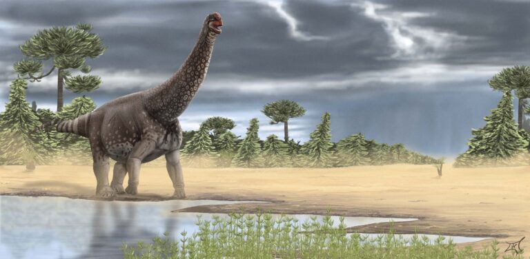 Camarasaurus Elihu Guzman