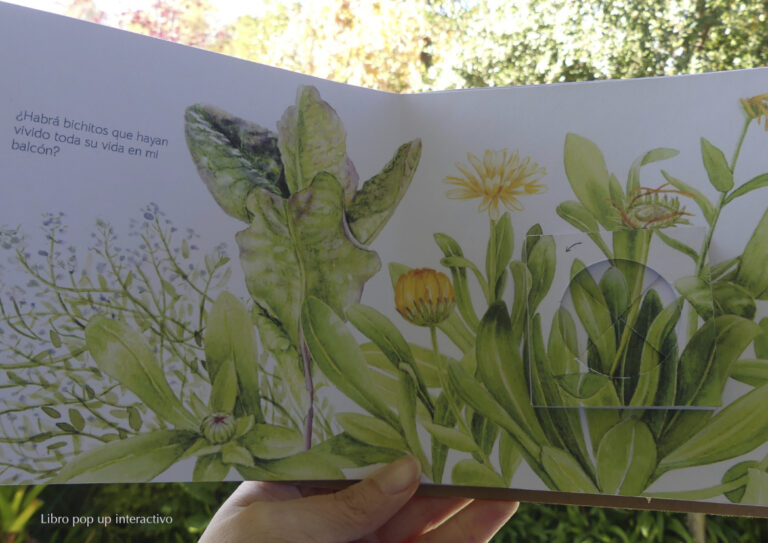 2_PaulaSalas_Libro_PopUp