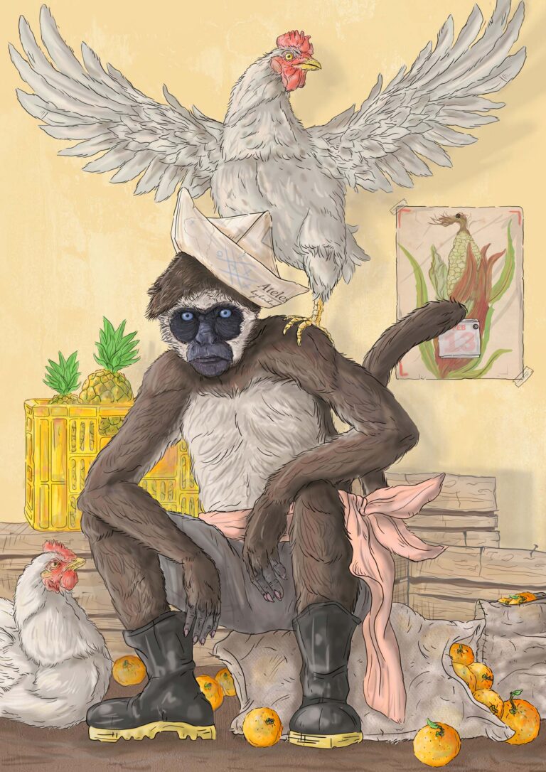 Ateles hybridus
