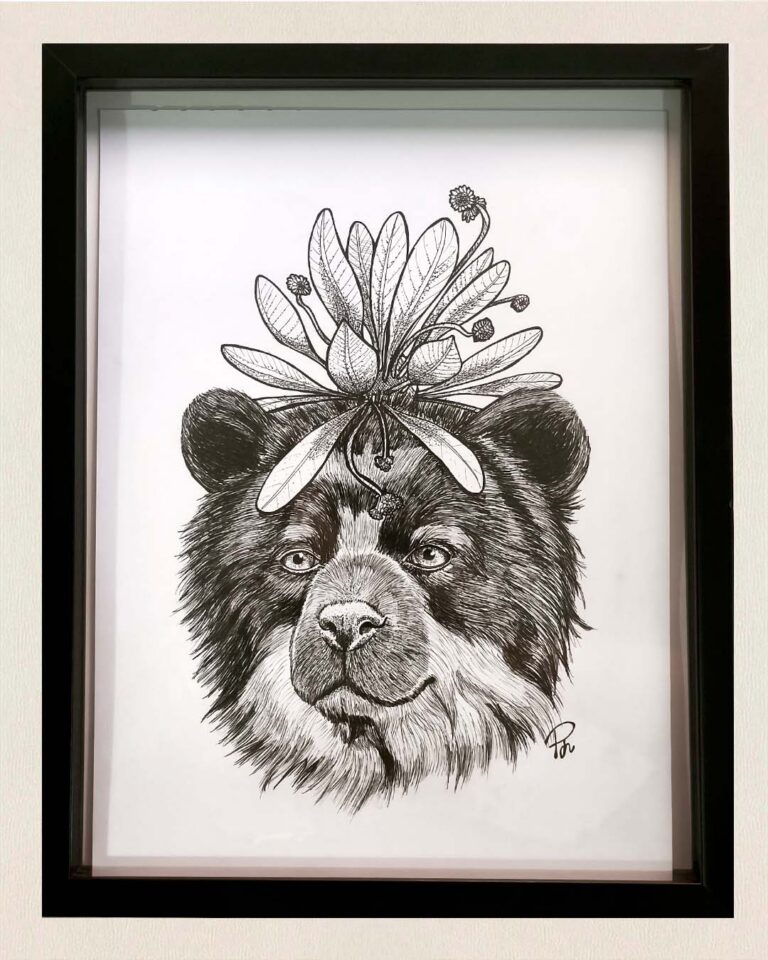 Oso andino Frailejón