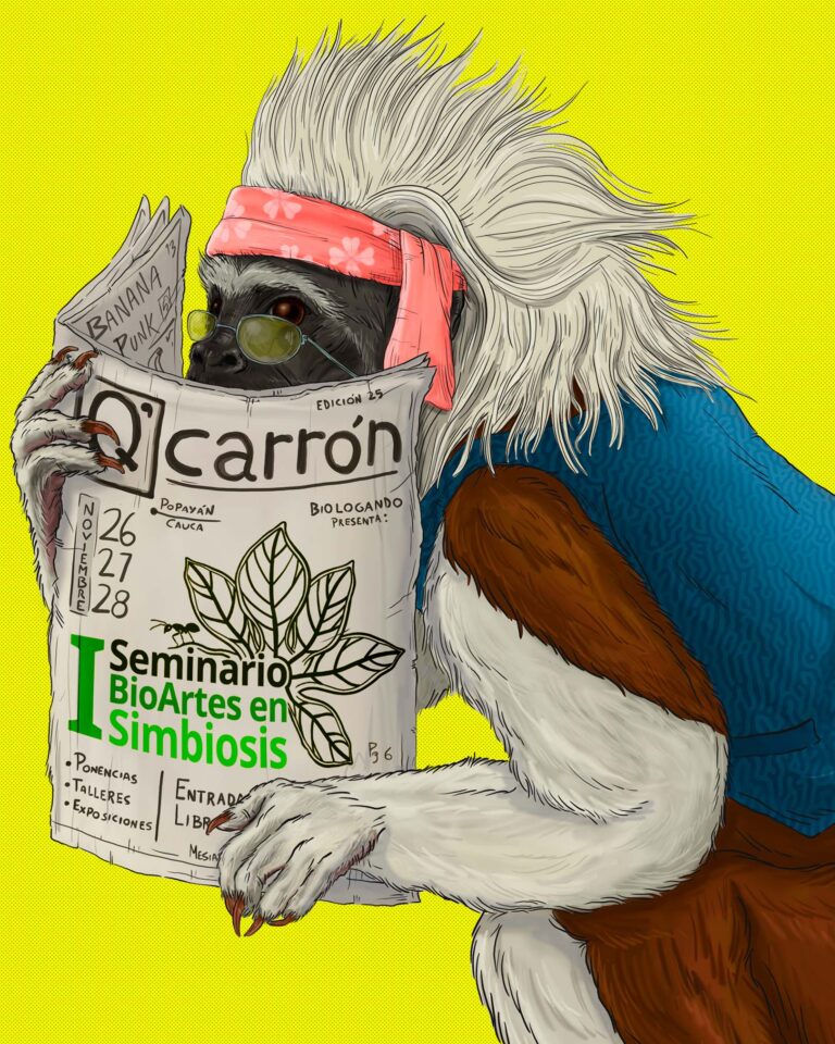 Saguinus oedipus v2